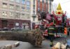 Vento, cade albero in Corso Sempione.