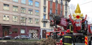 Vento, cade albero in Corso Sempione.