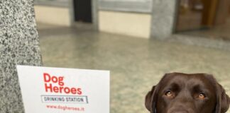 Aperto a Milano Dog heroes, il temporary store del cibo fresco (e sano) per cani, consegnato a domicilio.