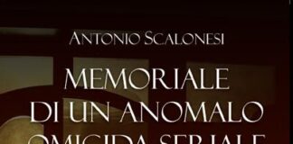 Memoriale di un anomalo omicida seriale, il nuovo libro di Davide Buzzi.