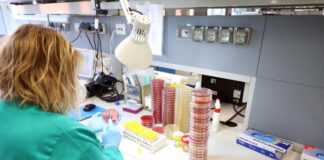 Coronavirus, isolato il ceppo italiano al Sacco.