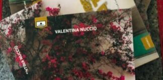 Terra d’ombra bruciata, Valentina Nuccio presenta il suo libro mercoledì 19 per Bodio Break.
