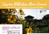 Civil Week nella città di Milano, appuntamento alla Cascina Biblioteca sabato 7.