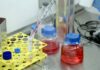 Coronavirus, farmaco in sperimentazione al Sacco e al San Matteo di Pavia.