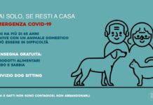 Mai solo, se resti a casa, aiuto concreto agli over 65.