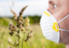Coronavirus ed allergie stagionali, stessi sintomi, diagnosi diverse. Discriminante la febbre.