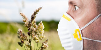 Coronavirus ed allergie stagionali, stessi sintomi, diagnosi diverse. Discriminante la febbre.