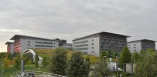 Artisti uniti insieme a Fondazione Cesvi per l’Ospedale di Bergamo.