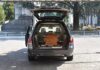 Troppa gente al funerale, Carabinieri multano il parroco a Cremona.