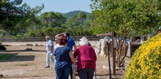Coronavirus, l’Ordine dei Medici: confusione nella gestione del Rsa.