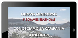 I vini campani protagonisti del prossimo appuntamento di #SommelierAtHome di Aspi.