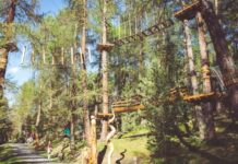 Riapre Larix Park a Livigno.