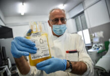 Coronavirus, con il plasma la mortalità scende dal 15% al 6%, la sperimentazione del San Matteo di Pavia.