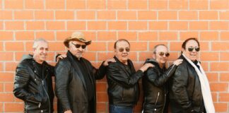 Ci sarà, tornano i Dik Dik con un nuovo album.