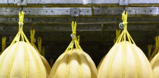 Il CdA del Consorzio Tutela Provolone Valpadana conferma i propri vertici per il 2020/2021, piano di rilancio triennale e internazionalizzazione tra gli obiettivi.