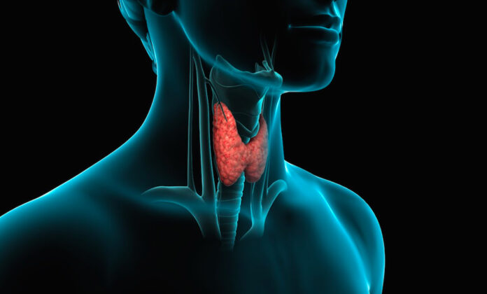 tiroide_centro_endocrinologiaoggi_roma