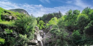 11 consigli per una vacanza estiva in Ticino.