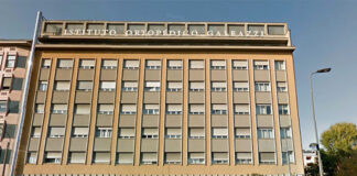 Radiomica e machine learning alleati dell’ortopedia oncologica, studio del Policlinico Federico II e del Galeazzi di Milano.
