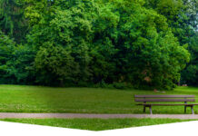 Puliamo il Parco con Legambiente e Vallelata.