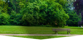 Puliamo il Parco con Legambiente e Vallelata.