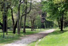 Donna violentata al Parco della Montagnetta di San Siro.