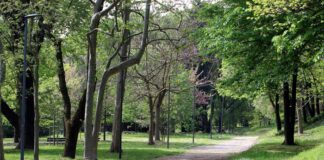 Donna violentata al Parco della Montagnetta di San Siro.