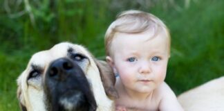 Come comunicare al nostro cane l’arrivo di un bebè?