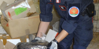 Carabinieri scoprono capannone degli orrori con resti animali a Mantova.