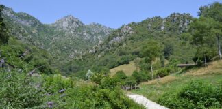 Turismo, Festa delle Montagna domenica 5.