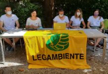 Lago Maggiore e Ceresio: otto punti monitorati, solo due nei limiti di legge.