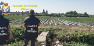 Braccianti chiamati animali dagli sfruttatori.