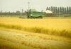 Osservatorio Agricoltura mercoledì 30 alla sede di Lodi della Camera di Commercio.