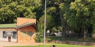 Successo per i Cani Volanti a Busto Arsizio, appuntamento a domenica 27 e 4 ottobre.