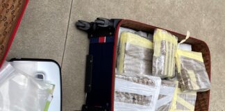Droga, sequestro record nel lodigiano, hashish e ketamina nascosti in box auto.