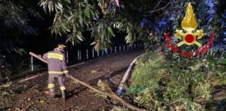Maltempo, trovato morto in un torrente runner scomparso a Luvinate.