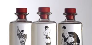 Valentina Gin: novità trasgressiva e seducente per la movida milanese. Ritorna la Milano anni ’60 e ’70 disegnata da Guido Crepax.