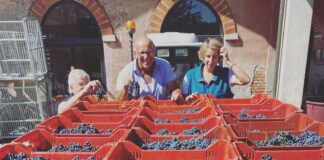 Oltrepò, Tenuta Mazzolino festeggia la quarantesima vendemmia.