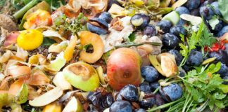 Giornata di sensibilizzazione del valore del cibo, Regione in prima linea.