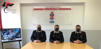 Rapina farmacie a Lodi, arrestato dai Carabinieri.