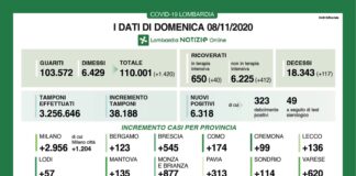 Coronavirus, aggiornamento 8 novembre, 117 decessi e 6.318 nuovi casi nelle ultime 24 ore.