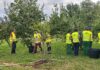 Corsi di formazione a cura della Scuola Agraria del Parco di Monza.
