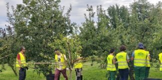 Corsi di formazione a cura della Scuola Agraria del Parco di Monza.