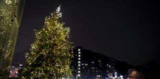 Natale, acceso l’albero in Fiera.