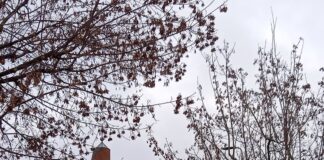 Aperta in zona Barona Casa Alba, centro per l’accoglienza di donne senza fissa dimora.
