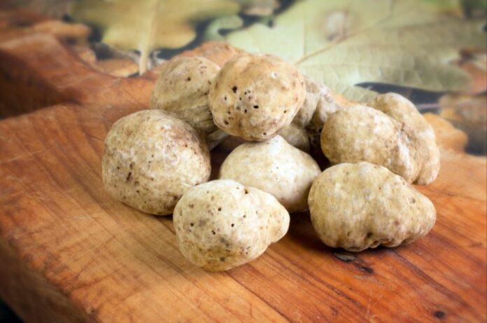 Truffes blanches 2_low