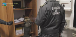 Sottratto denaro agli anziani di cui era amministratore di sostegno, arrestato a Pavia.