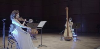 “La Forza delle Donne”: concerto online per l’8 marzo dal Comitato Imprenditoria Femminile della Camera di commercio.