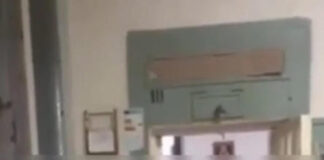 Terrorismo, tunisino faceva proselitismo per l’Isis nel carcere di Opera.