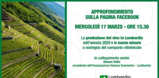 Produzione vino 2020, incontro con assessore Rolfi.