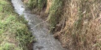 Reflui zootecnici: sversamenti nell’Oglio. Lombardia produce un quarto delle emissioni climalteranti da fonte agricola, Legambiente chiede alla Regione Green Deal.
